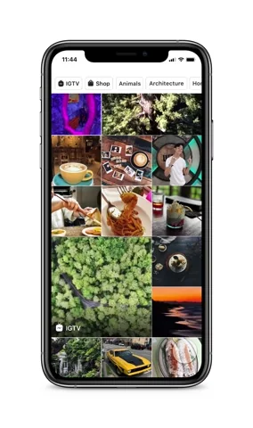 Smartphone screen displaying an Instagram Explore page with a grid of diverse photos, including food, nature, travel, and animals.